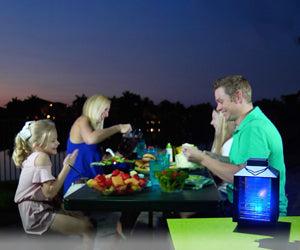 Lamp Zapper 2x1 a 49,99€