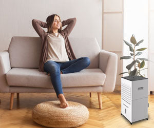 Starlyf Cooler & Heater 5 in 1 a 599 PLN