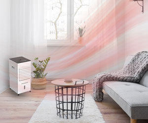 Cooler & Heater XXL 5 in 1 a 129,99€